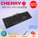 樱桃CherryG80-3802 MX2.0机械键盘高键帽 黑轴青轴茶轴红轴