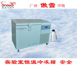 雪颂SNOWSONG -105℃卧式深低温冰箱 低温冰箱 工业存储冷冻箱