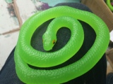包邮 仿真动物橡胶眼镜蛇 整蛊玩具 橡胶塑胶玩具蛇