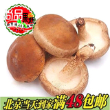 新鲜蔬菜 优质新鲜香菇500g  新鲜菌菇 蘑菇火锅食材北京同城配送