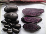 富硒黑色紫土豆种 紫土豆种子 土豆每斤10元 营养价值高 蔬菜种子