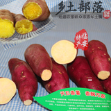 新鲜正宗临安天目香薯 农家番薯红薯地瓜 绿色有机蔬菜特级5斤装