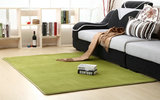 特价包邮珊瑚绒地毯纯色地毯门垫客厅地毯卧室茶几满铺短毛可定制