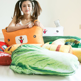 创意蔬菜舒睡枕头靠垫办公室学生床头沙发汽车毛绒抱枕 可爱礼物