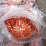 进口野生帝王蟹海鲜活冻生皇帝蟹新鲜超大螃蟹每只1公斤左右