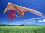 中天模型 橡筋动力伞翼机 橡皮筋动力模型 组装拼装航模竞赛飞机