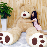 正版美国大熊公仔1.6米泰迪熊玩偶毛绒玩具大号娃2米抱抱熊娃女生