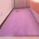 天天特价简约 家用卧室地毯客厅茶几防滑地垫床边全铺满地毯定制