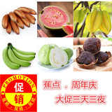 水果红皮香蕉 土楼特产红香蕉 5斤装包邮【蕉点+周年庆】新鲜