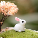 苔藓微景观多肉花盆摆件diy材料动漫游戏可爱小白兔子玩偶公仔