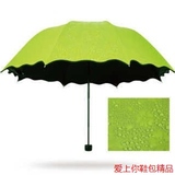 遇水开花晴雨伞超强防晒折叠太阳伞防紫外线黑胶遮阳伞见水就包邮
