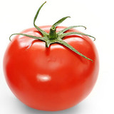 中蔬四号 番茄种子 阳台四季播种 秋冬季蔬菜种子 满18元包邮