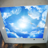 蓝天白云3D立体天花板吊顶墙纸壁纸客厅电视背景墙壁画无纺布墙纸