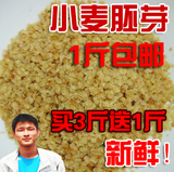 新鲜小麦胚芽片 补充维生素e 小麦胚芽1斤包邮买3赠1小麦芽粉