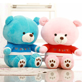 蓝色小熊布娃娃泰迪熊公仔大熊猫毛绒玩具粉色抱抱熊女孩生日礼物
