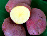 【爱家】云南新鲜蔬菜农产品 有机紫皮土豆 马铃薯 洋芋5斤包邮