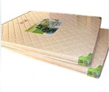 新款特价纯天然棕榈床垫/双人床/单人床/公主床垫/可定做任何尺寸