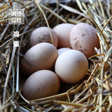 海伶山珍 土鸡蛋农家散养自养纯天然蛋 新鲜10枚孕妇多吃