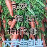 特价潍坊新鲜农家自种非转基因胡萝卜红萝卜绿色有机蔬菜婴儿辅食