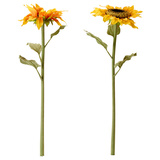 本月特价◆IKEA 思米加 人造花(向日葵 60cm)◆怡然宜家代购◆
