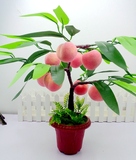 仿真水果树盆景桔子苹果桃子盆栽家居客厅装饰假花摆设模型批发