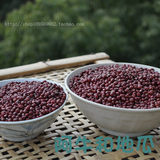 天然红豆五谷杂粮红小豆 珍珠豆 农家自种的会发芽的红豆 500g