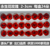 云南鲜花速递永生花花材料批发diy玫瑰保鲜花干花进口品质花径2-3