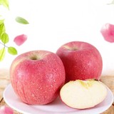 当季新鲜水果正宗农家特产纯天然冰糖富士黄土高原霜降红富士苹果