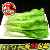 新鲜蔬菜 优质白菜芽 新鲜小白菜500克 北京同城新发地蔬菜配送