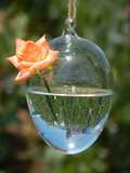 悬挂透明蛋形玻璃花瓶 现代欧式玻璃吊球 创意水培花器 婚庆吊饰