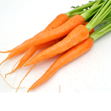 新鲜胡萝卜农家手指胡萝卜绿色无公害有机蔬菜水果胡萝卜宝宝辅食