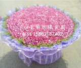 上海同城鲜花速递99朵51朵粉康乃馨花束探望教师节母亲节圣诞节