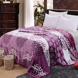 加厚法兰绒毛毯夏季珊瑚绒毯子床单毛巾被空调毯午睡毯单双人盖毯