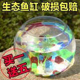 包邮金鱼缸玻璃鱼缸水族箱小型生态圆形鱼缸乌龟缸金鱼缸水培植物