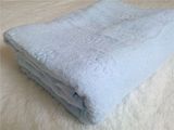 特价无捻纱全棉单人床单 单件纯棉毛巾料床单 外贸出口日单1.4米