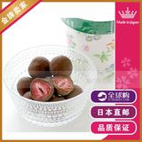 日本直邮北海道特产零食六花亭草莓夹心黑巧克力牛奶巧克力115g盒