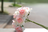 仿真玫瑰花干花装饰花 绢花假花法国玫瑰花束 客厅餐桌摆花
