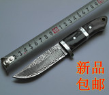 典藏版高硬度正品 中国大马士革钢 户外随身小直刀 小刀 锋利刀具