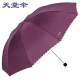 天堂伞正品3311E加大固钢骨三折叠晴雨伞纳米强力拒水防紫外线