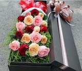 11朵玫瑰礼盒款式上海鲜花速递玫瑰盒装安徐汇浦东闵行宝山松江区