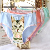 包邮 英国3D猫图案三角裤个性猫咪女士内裤 全棉喵星人小猫内裤女