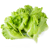 【天猫超市】有机绿生菜220g新鲜蔬菜 16:00截单