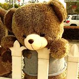 仔大熊泰迪熊玩具娃娃毛绒熊1.6米抱抱熊 圣诞节女生日礼物结婚公
