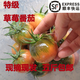 草莓柿子小番茄西红柿新鲜水果绿腚油铁皮柿子顺丰包邮圣女果蔬菜