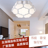 LED吸顶灯饰具异形铁艺创意个性大气厅客厅卧室书房间荷花灯圆形