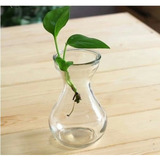 园艺用品 玻璃瓶 容器风信子/郁金香水培专用 水培花瓶