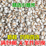 贵州农家新鲜小薏米250g精选头米薏米仁薏仁米五谷杂粮粗粮满包邮