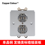 Copper Colour/铜彩 CC126OCC单晶铜镀金音响美标墙插电源插座