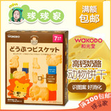 日本和光堂宝宝高钙奶酪卡通动物饼干磨牙棒进口婴幼儿童宝宝零食