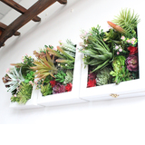 创意仿真多肉植物实木壁挂花盒挂墙上盆栽垂直插花园壁饰装修酒吧